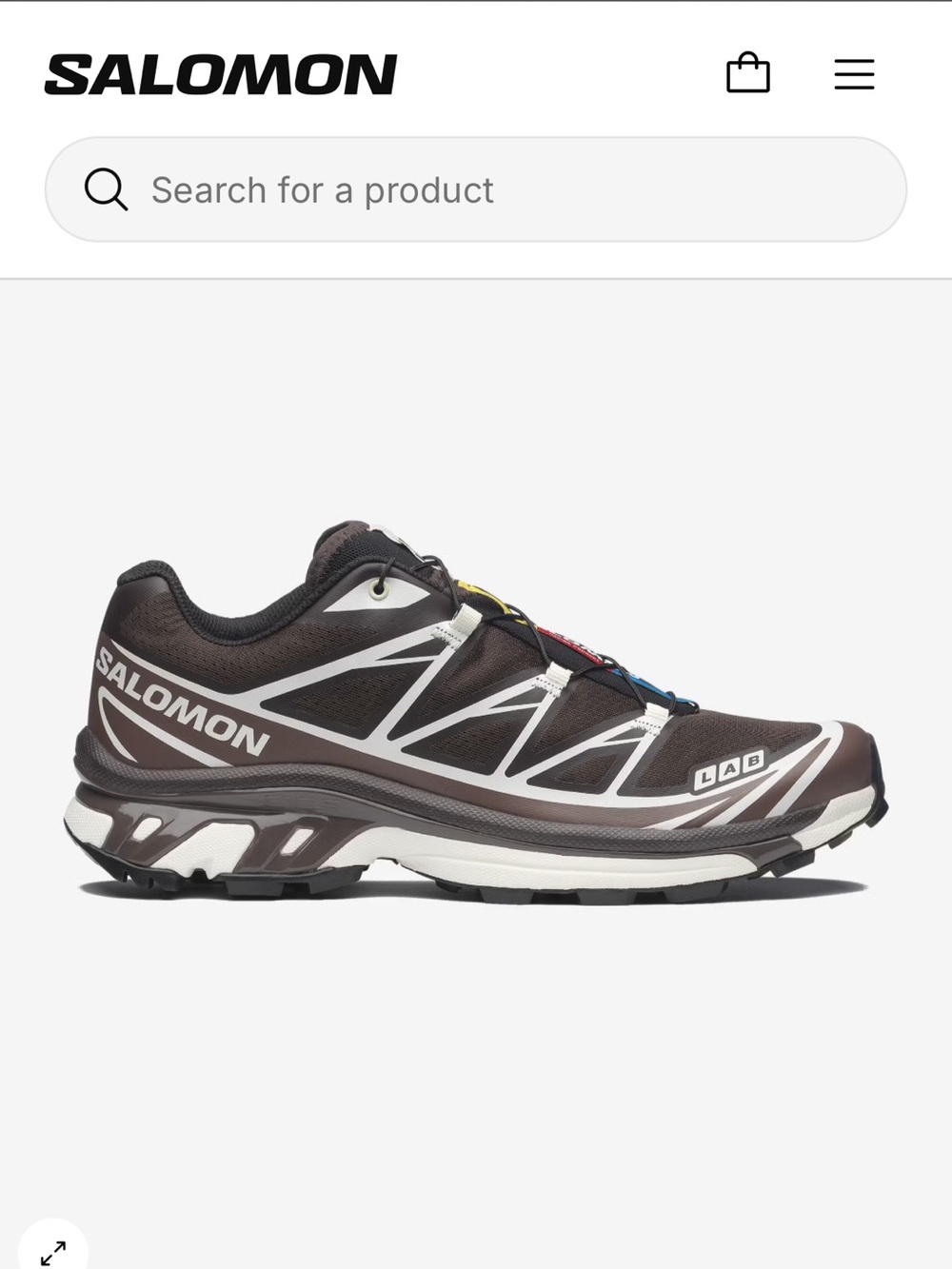 Salomon XT-6